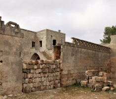 ARCHIDAMO5