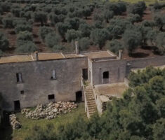 archidamo20